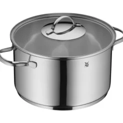 Töpfe | WMF Aparto Kochtopf mit Deckel, 24 cm