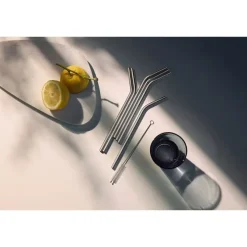 Bar- & Weinzubehör | WMF BaricTrinkhalm-Set aus Cromargan®, 24 cm, 6-teilig plus Reinigungsbürste