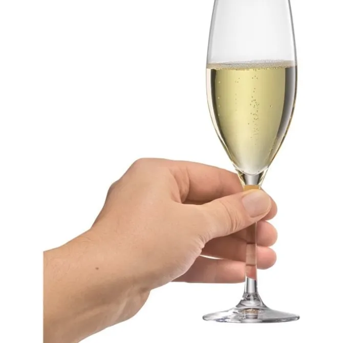 Gläser & Karaffen | WMF EasyPlus Champagnerkelche, 6 Stück
