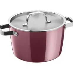 Töpfe | WMF Fusiontec Aromatic Kochtopf, 22 cm, Rose Quartz