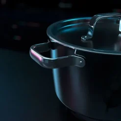 Töpfe | WMF Fusiontec Aromatic Kochtopf, 24 cm, Black