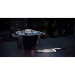 Töpfe | WMF Fusiontec Aromatic Kochtopf, 24 cm, Black