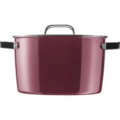 Töpfe | WMF Fusiontec Aromatic Kochtopf, 24 cm, Rose Quartz