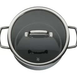 Töpfe | WMF Fusiontec Mineral Kochtopf mit Glasdeckel, 24 cm, Platinum