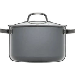 Töpfe | WMF Fusiontec Mineral Kochtopf mit Glasdeckel, 24 cm, Platinum