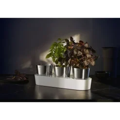 Würzen & Verfeinern | WMF Gourmet Indoor Kräutergarten, 3-teilig