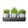 Würzen & Verfeinern | WMF Silit Collexio Indoor Kräutergarten, 3-teilig