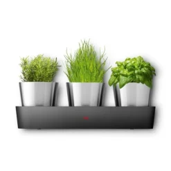 Würzen & Verfeinern | WMF Silit Collexio Indoor Kräutergarten, 3-teilig
