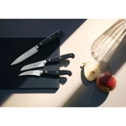 Küchenmesser | WMF Spitzenklasse Plus Zubereitungsmesser, 10 cm